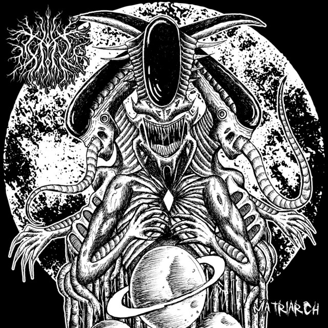 Matriarch cover