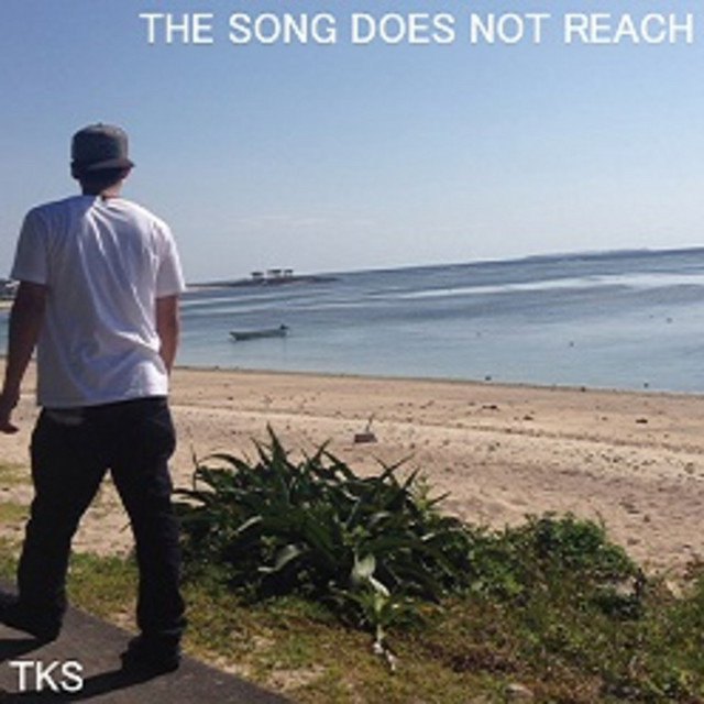 THE SONG DOES NOT REACh - Album by TKS | Spotify
