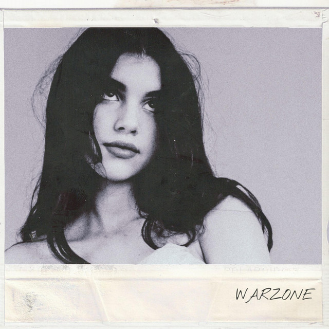 Warzone cover art