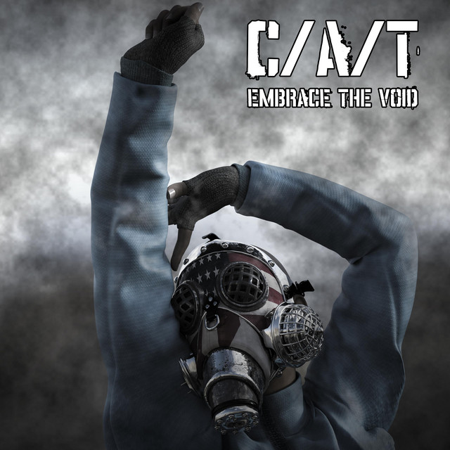 Embrace the Void cover art