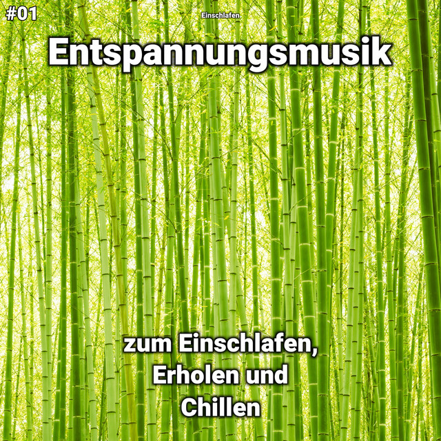 Die Einsamen Stinktiere Photo