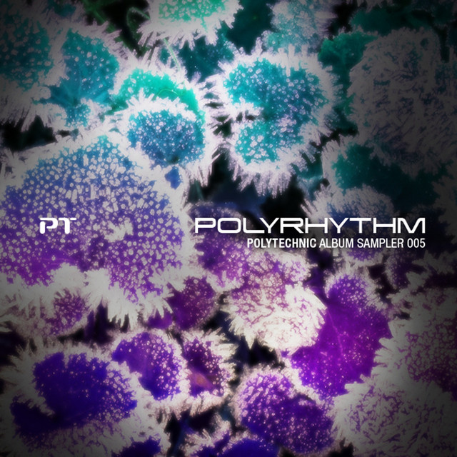 Polyrhythm - Polytechnic Album Sampler 005 cover art