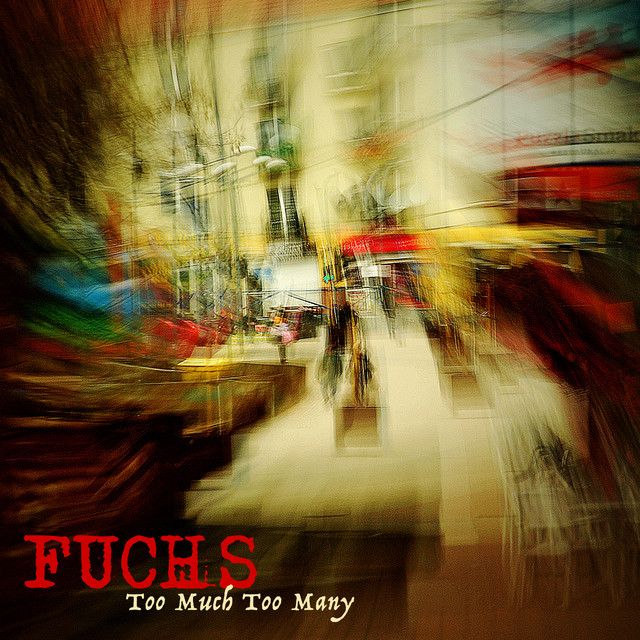 Too Much Too Many cover art
