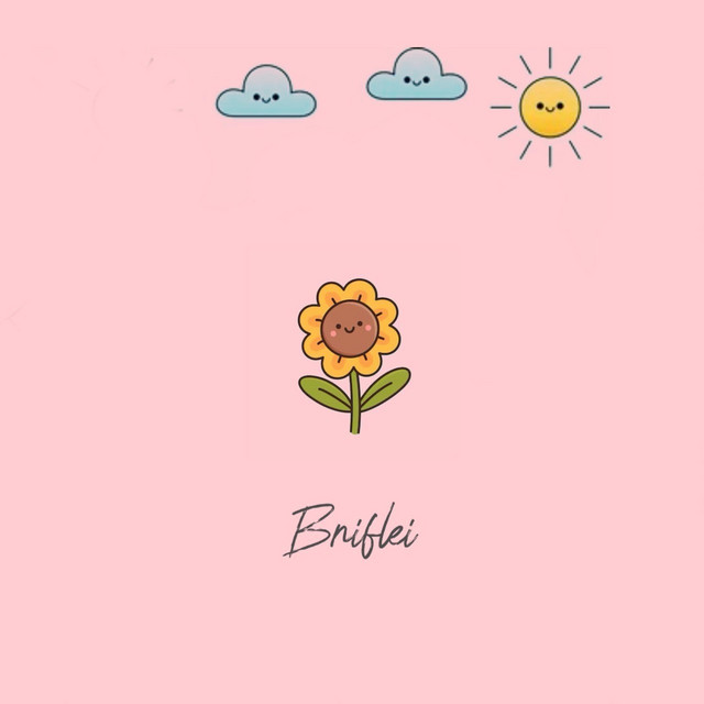 Briflei