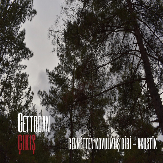 Cennetten Kovulmuş Gibi (Akustik) cover art