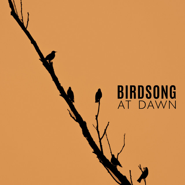 Birdsong at Dawn: Sleepy Instrumental Music with Nature Soundscapes for Relaxation