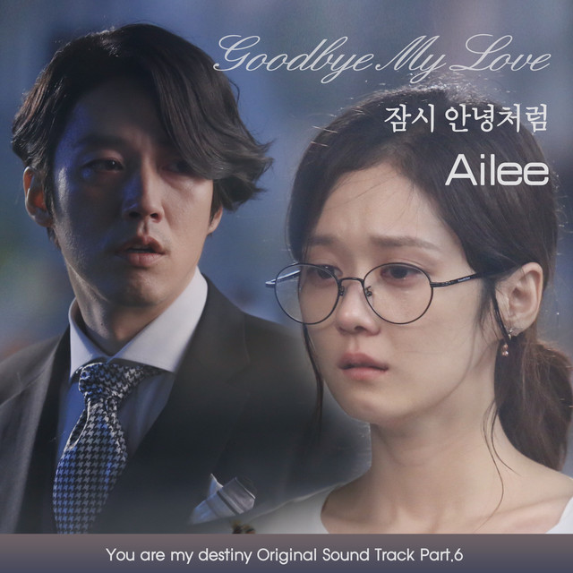 Goodbye My Love