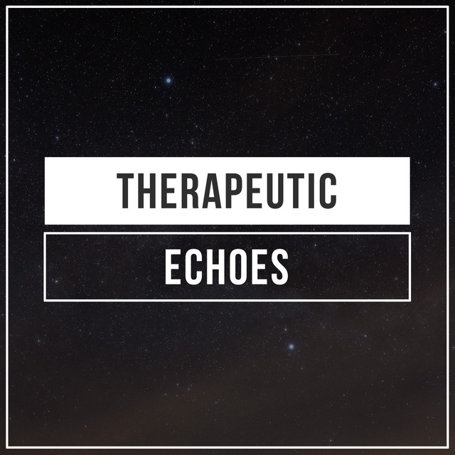 Therapeutic Echoes, Vol. 1 cover art