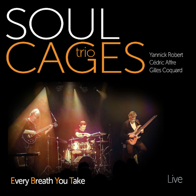 Soul Cages Trio Every Breath You Take (Live)