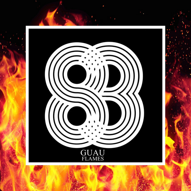 Обкладинка Guau — Flames