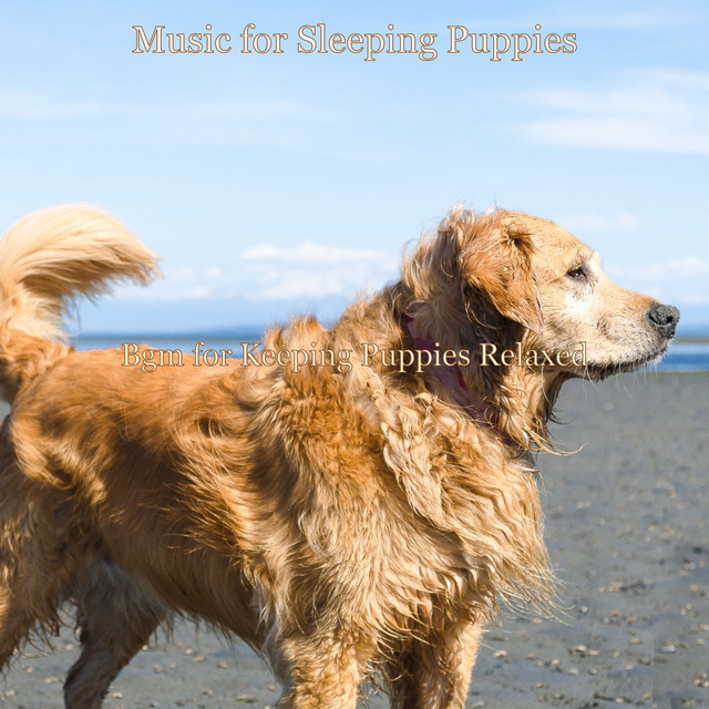 Bgm for Keeping Puppies Relaxed cover art