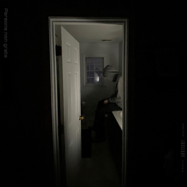 Persona non grata cover art