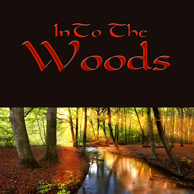 Into the Woods – Nature Sounds Magic Music for Relaxation Meditation cover art