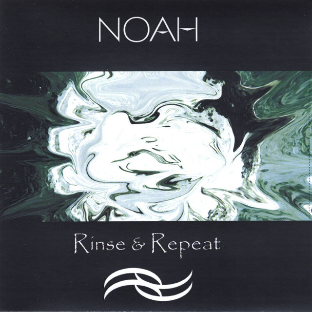 Rinse & Repeat cover art