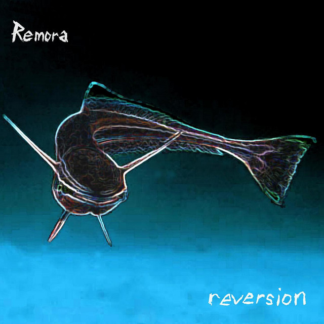 Reversion cover