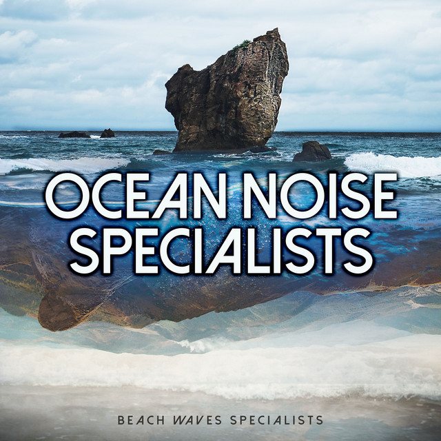 Ocean Noise Specialists cover art