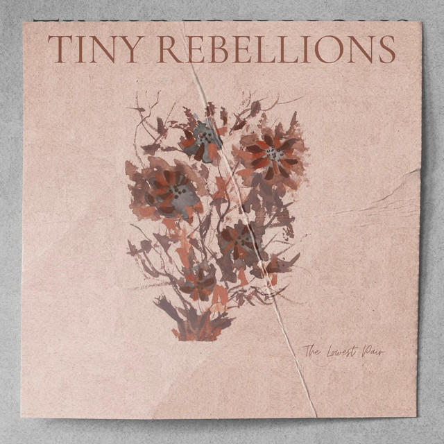 Tiny Rebellions album image
