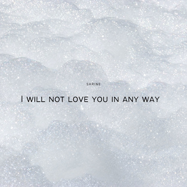 I Will Not Love You in Any Way cover art