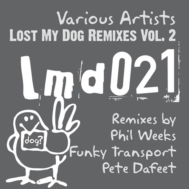 Swimming Under The Ice - Funky Transport's Contact High Remix cover art