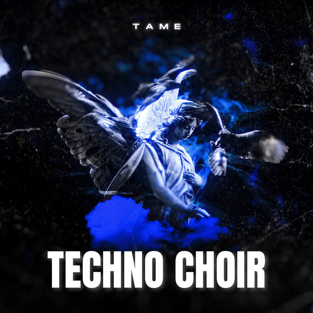 Techno Choir album image
