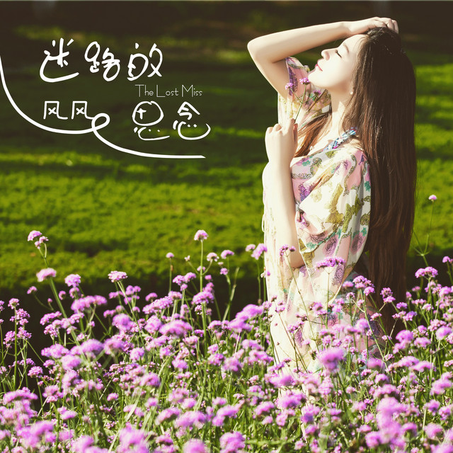 風 Photo