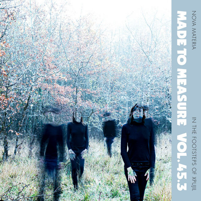 In The Footsteps Of Xpujil (Made To Measure Vol. 45.3) cover art