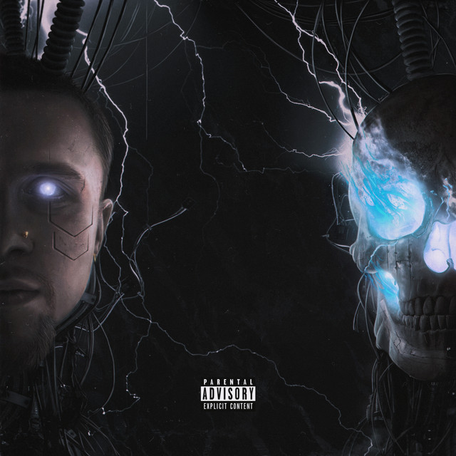 Лайтовый cover art