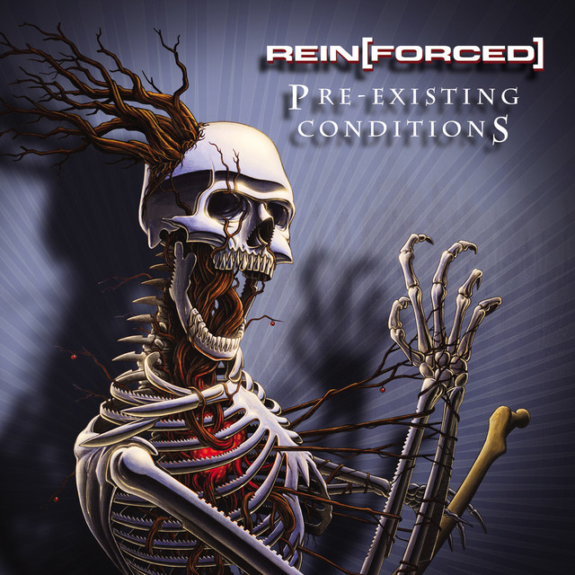 Rein[Forced] Photo