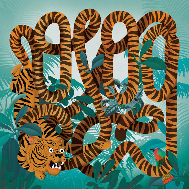 album image