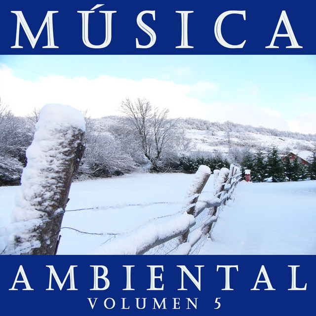Música Ambiental Vol. 5 cover art