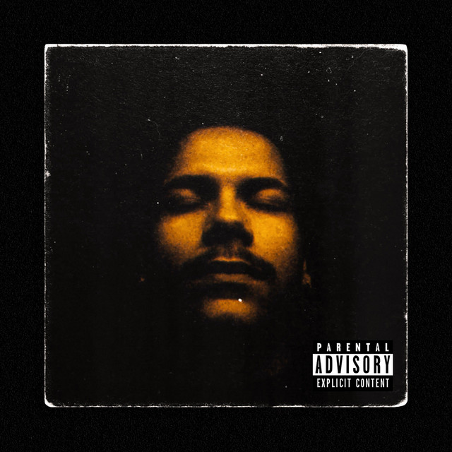 SAVAGE cover art