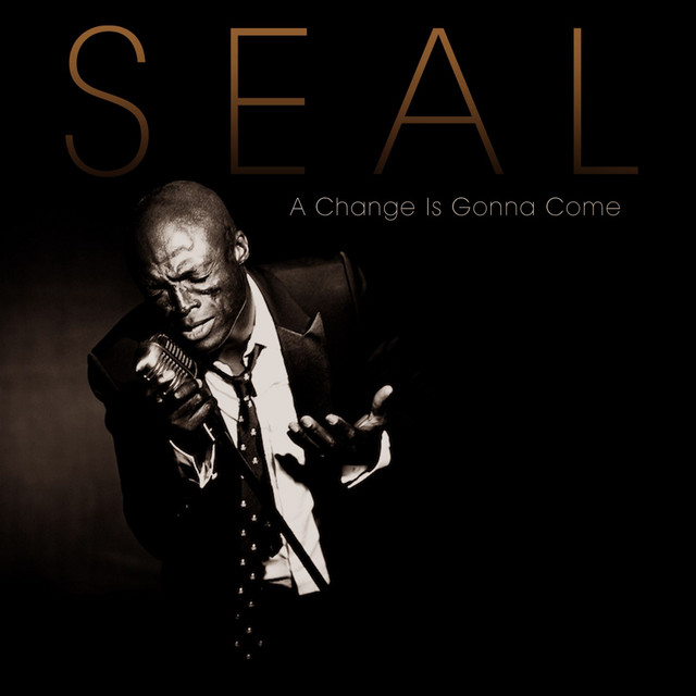 what is seal doing now - Ilustrasi 2