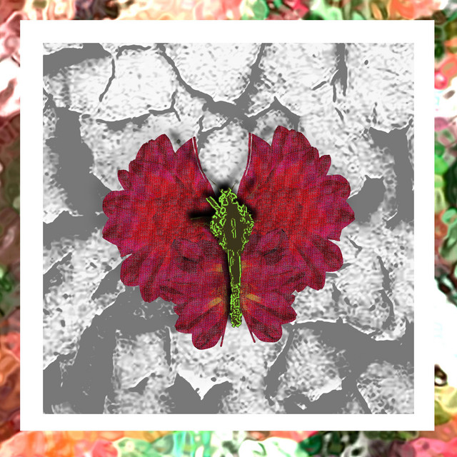 blossom