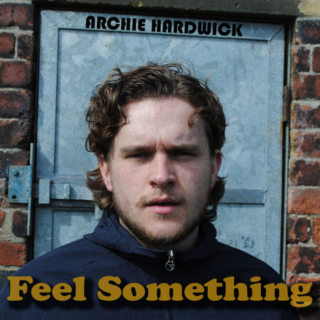 Feel Something - Single by Archie Hardwick | Spotify