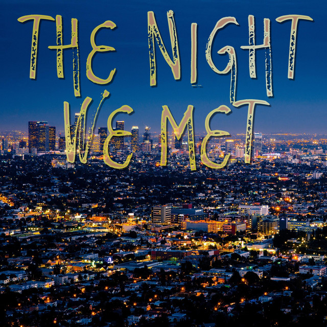 The Night We Met (Instrumental) cover art