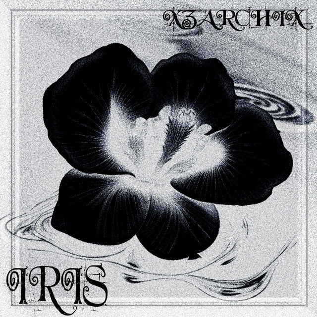 Iris cover art
