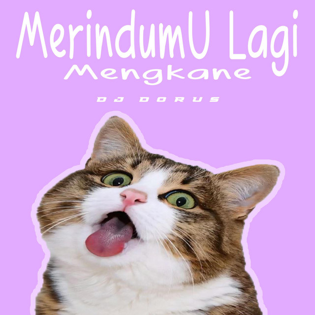 DJ MERINDUMU LAGI MENGKANE cover art