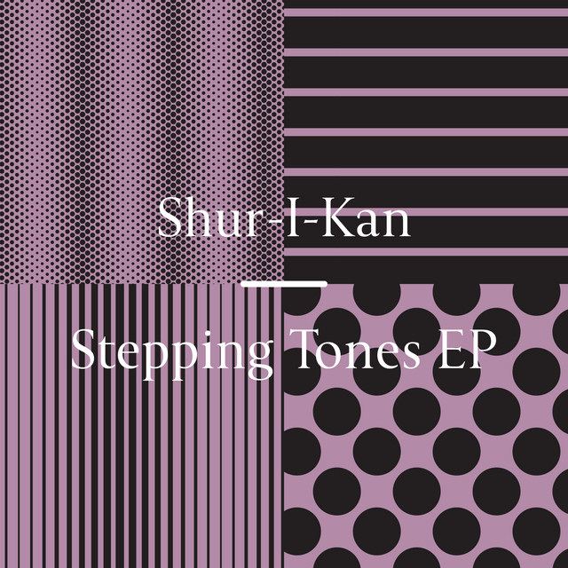 Stepping Tones - Kim Brown Remix cover art