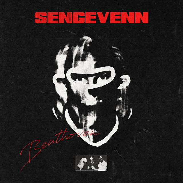 SENGEVENN