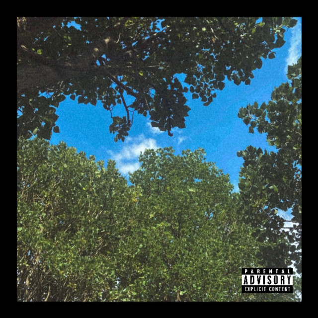Stalkear cover art