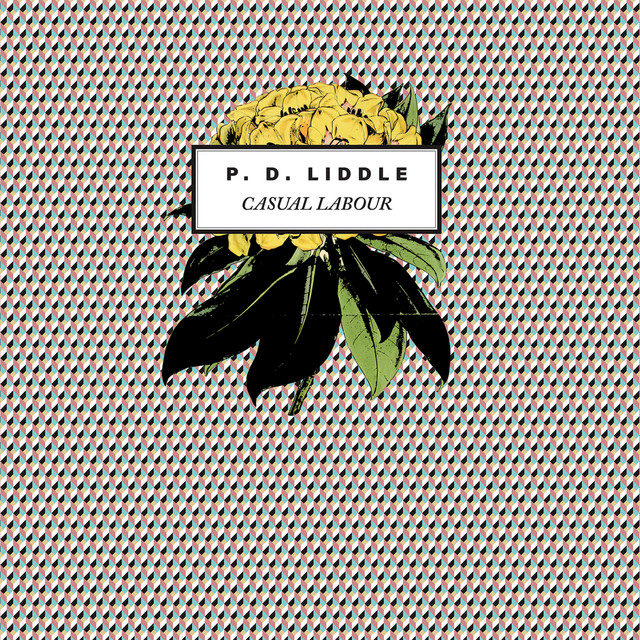 Casual Labour cover art