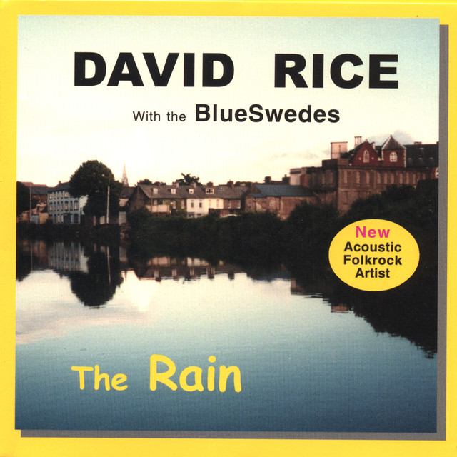 The Rain - Album by David Rice | Spotify