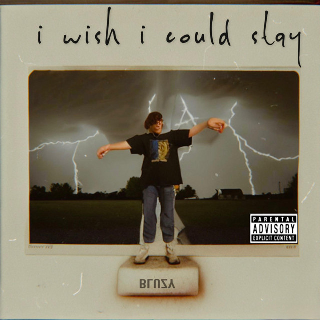 i wish i could stay cover art