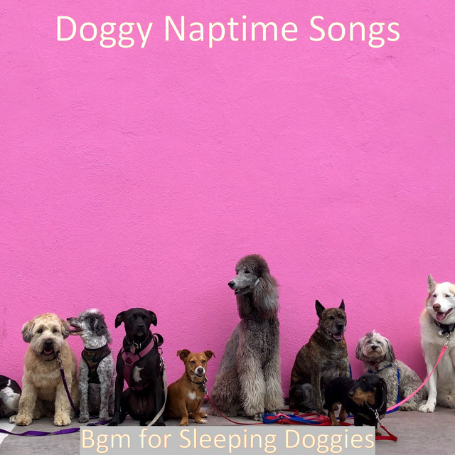 Bgm for Sleeping Doggies cover art