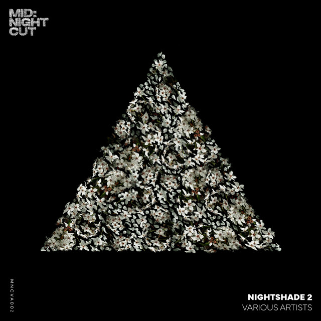 Fi Bayti album art