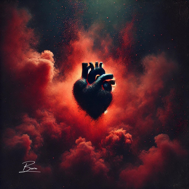 Burn cover art