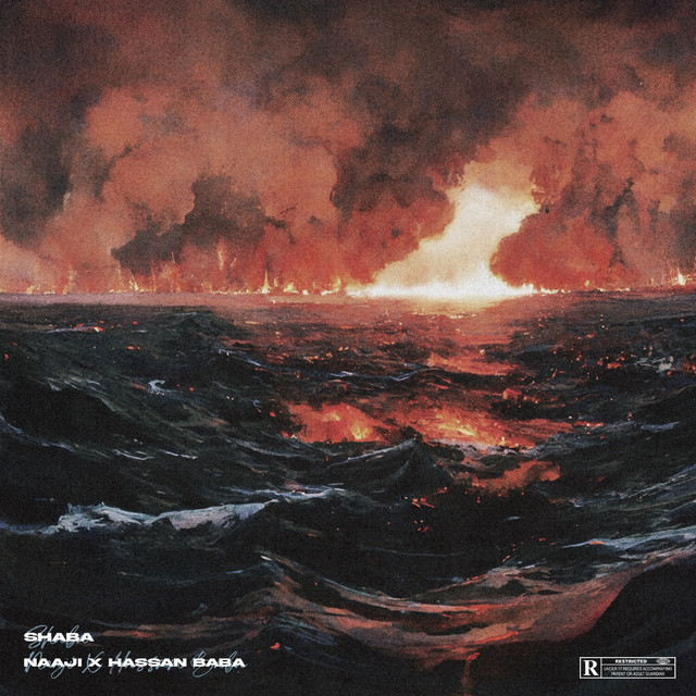 Cover of Shaba