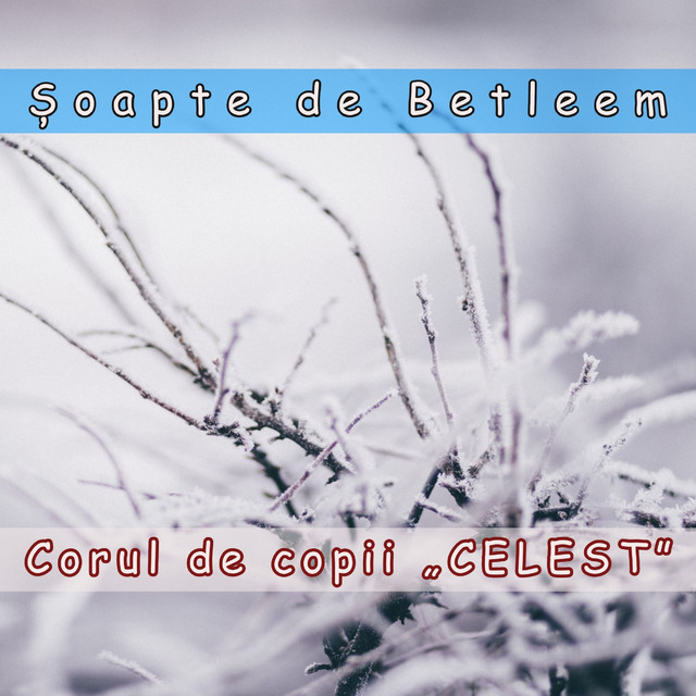 Corul de copii "Celest"