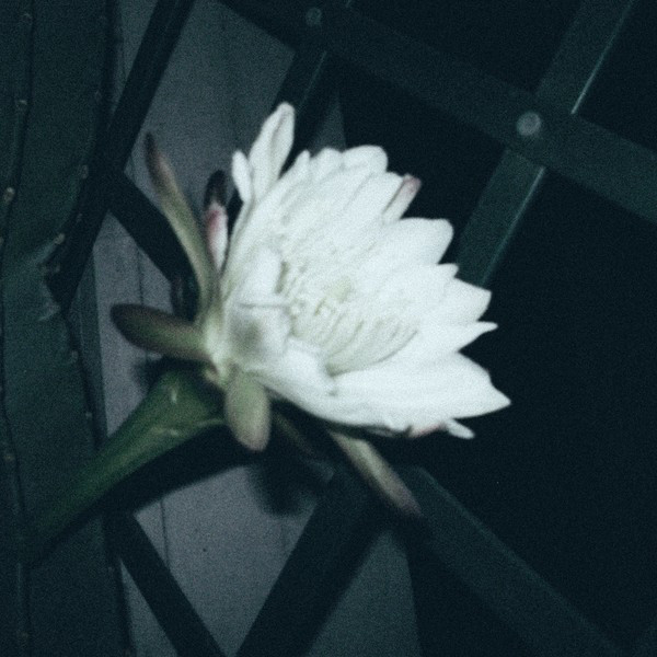 3 A.M. cover art