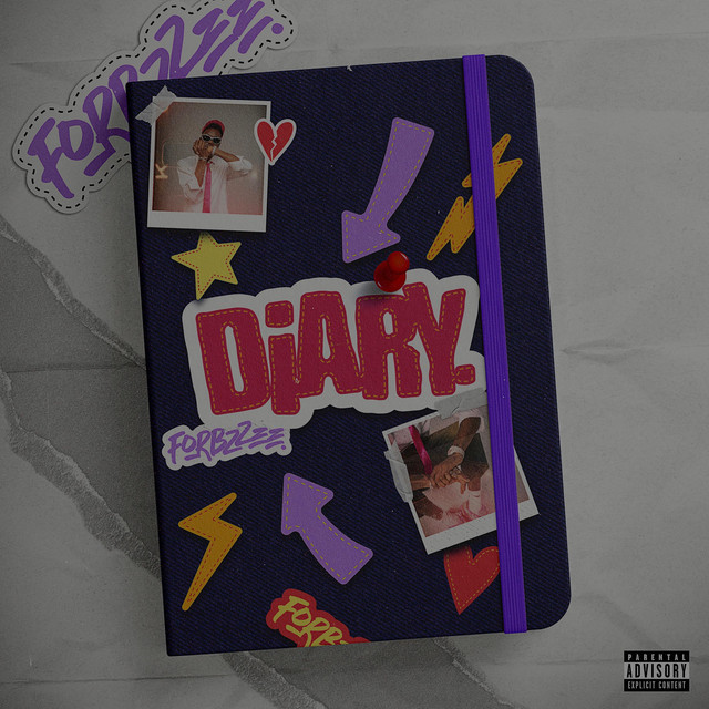 Diary cover art